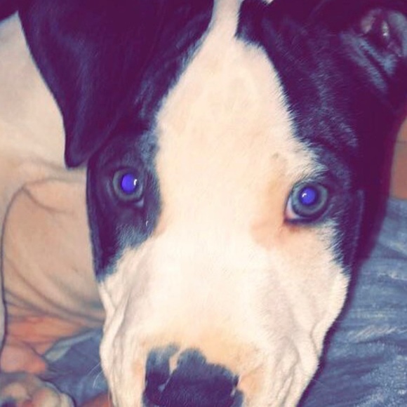 Meet your Posher, Timothy - Picture 1 of 1